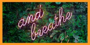 Read more about the article Workplace Wellbeing
